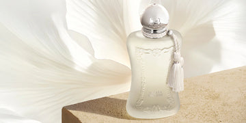 Di Marly <sup>8</sup>